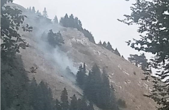 Bursa’da korkutan orman yangını