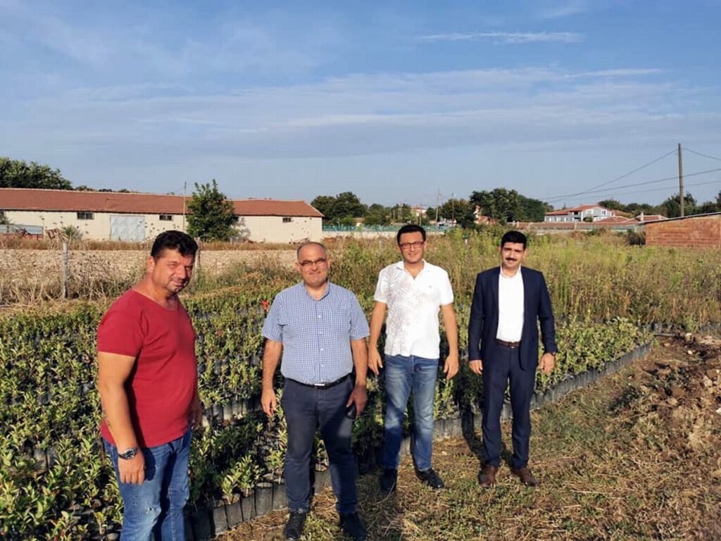 Aronya meyvesi Mudanya’da üretilecek