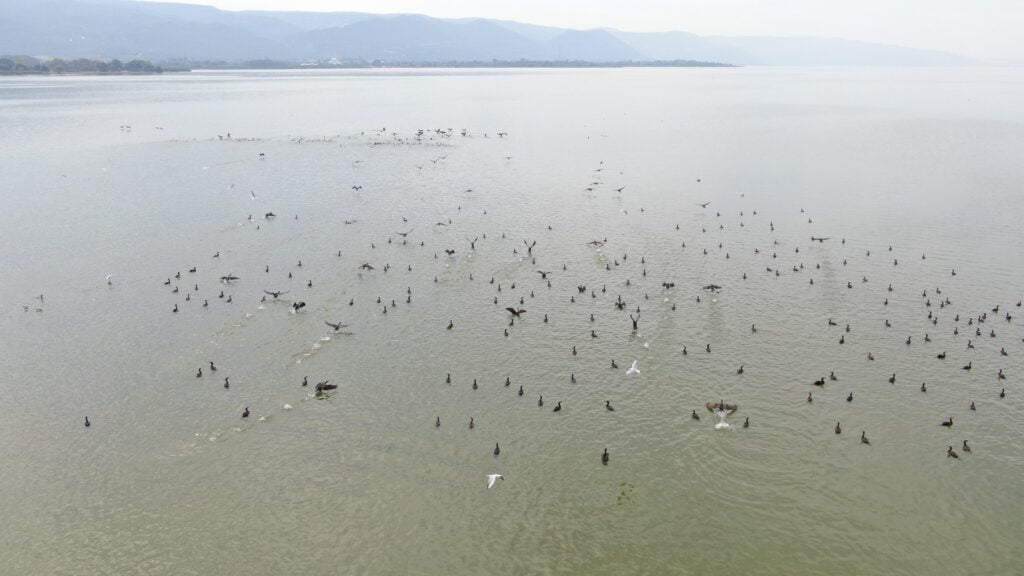 Uluabat’ta çember daralıyor