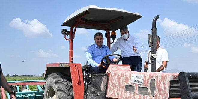 Vali, traktörle yer fıstığı hasadı yaptı