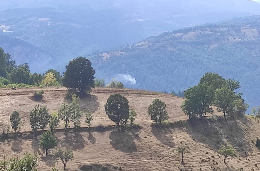 Yıldırım düştü, orman yangını çıktı