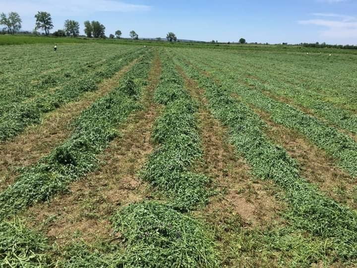 Yol yüzünden kan aktı!