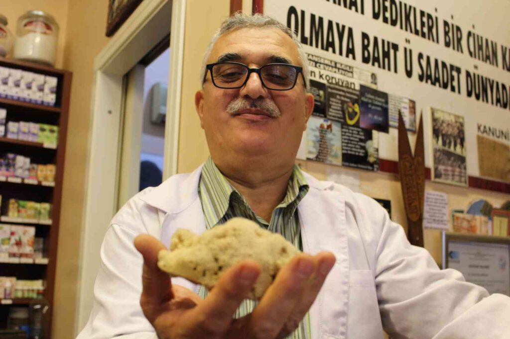 4 bin liraya canlı sünger