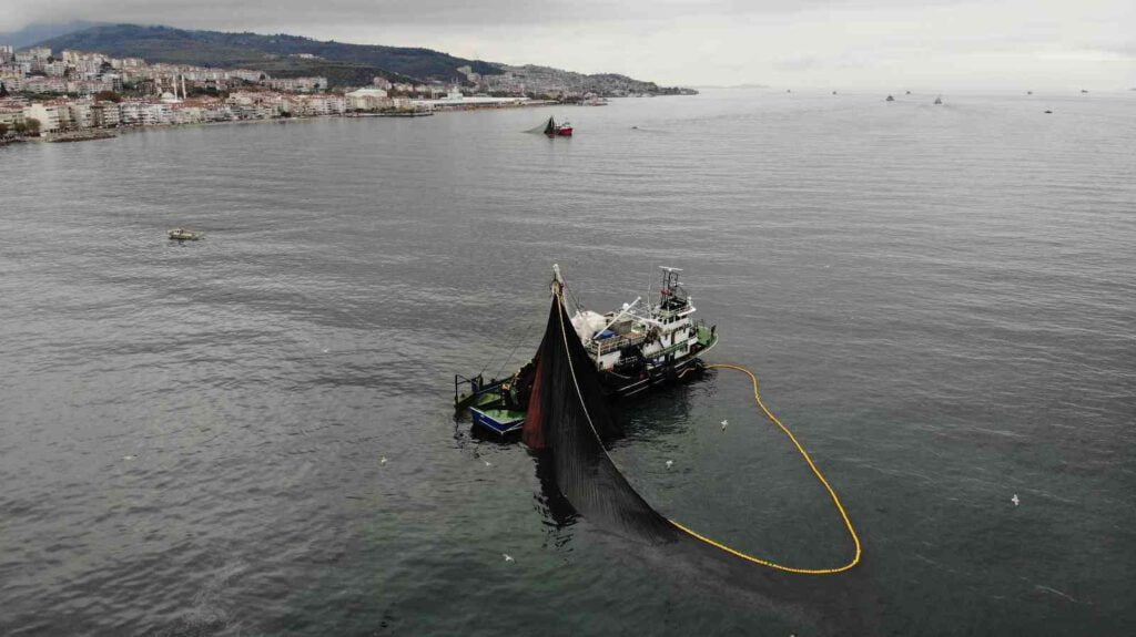 600 bin kilo hamsi yakaladılar