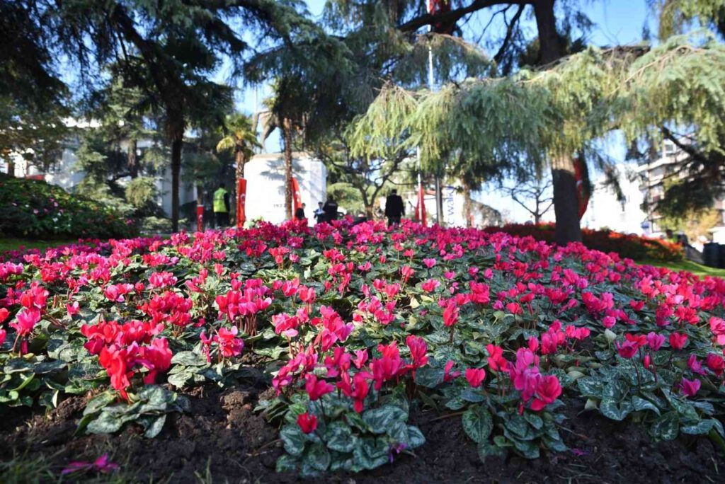 Bursa, kışın da çiçek bahçesi