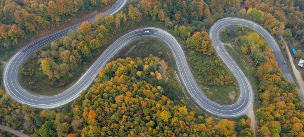 Bursa Ormanları’nda renk cümbüşü