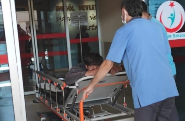 Ceviz ağacından düşen adam yaralandı