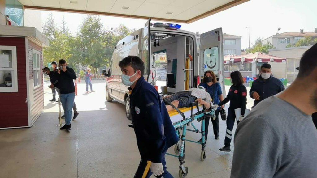 Ceviz ağacından düştü