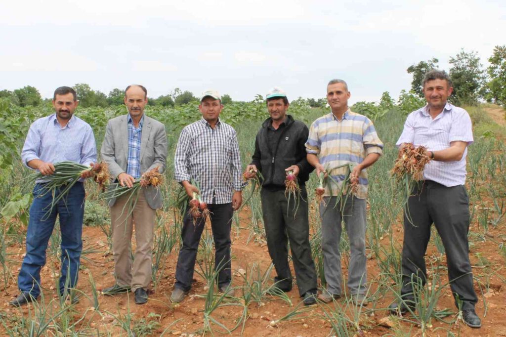Geç yağan yağmurlar üreticiyi etkiledi