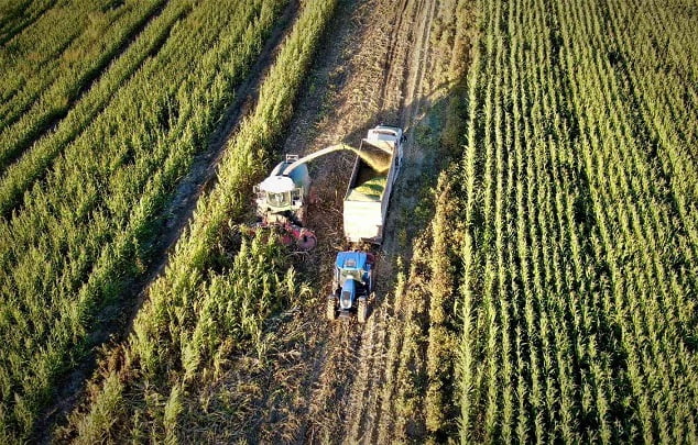Mısır hasadı başladı