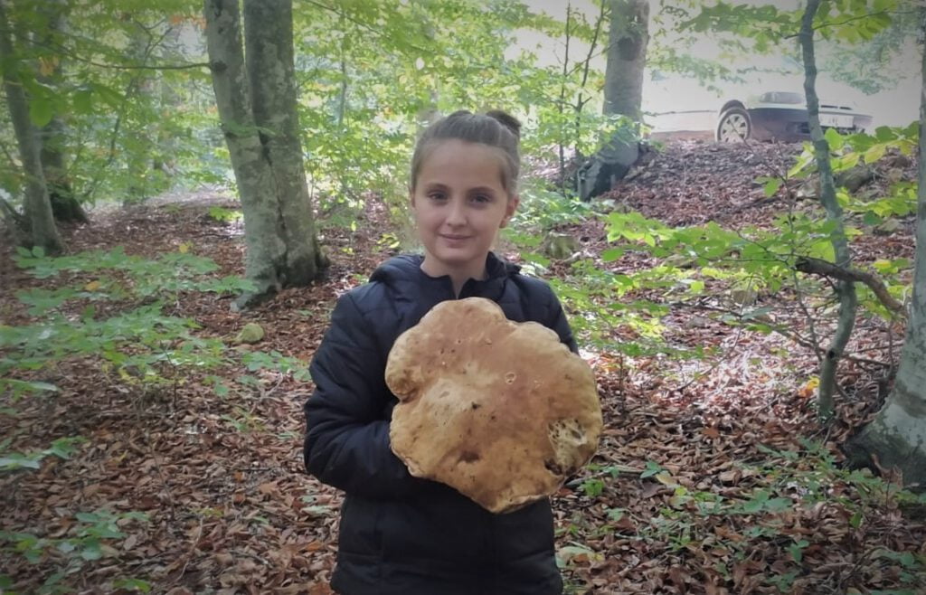 Minik kız 2 kiloluk dev mantar buldu