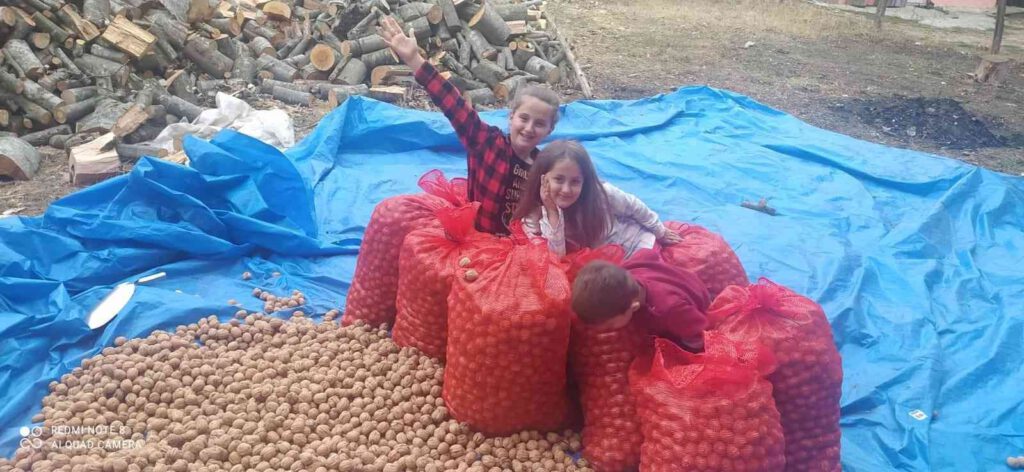 Minikler, ailelerine destek oluyor