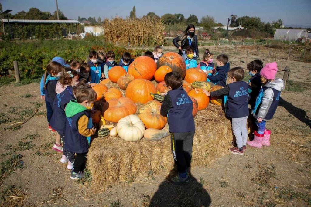 Minikler üretimi yerinde gördü