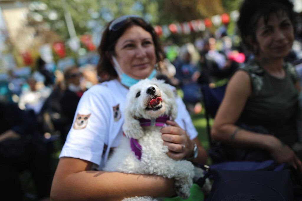 Nilüfer’de ‘Can Dostlarım Şenliği’