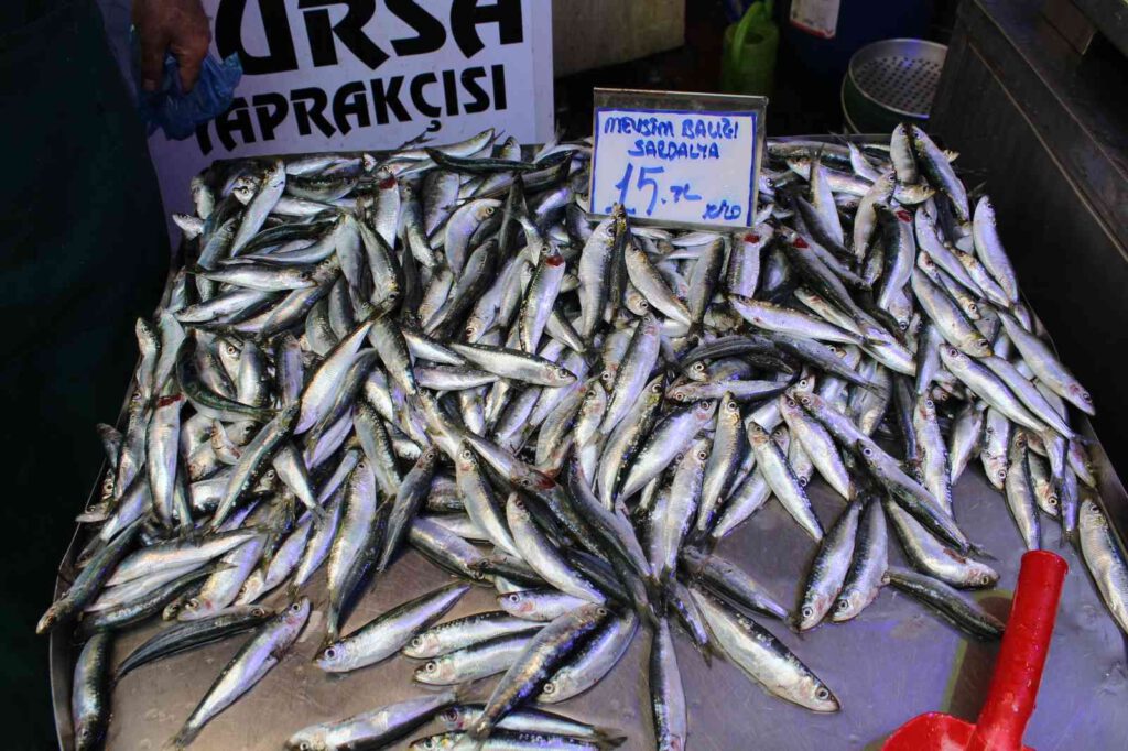 Omega 3 deposu sardalya ucuzladı