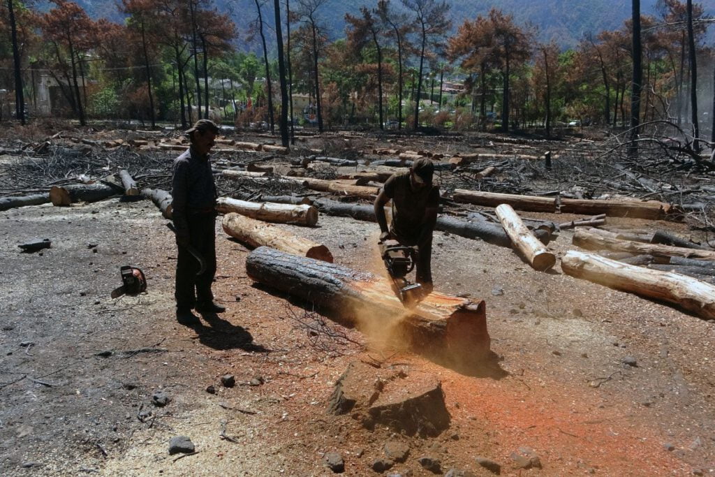 Palet üreticileri sıkıntı yaşamak istemiyor