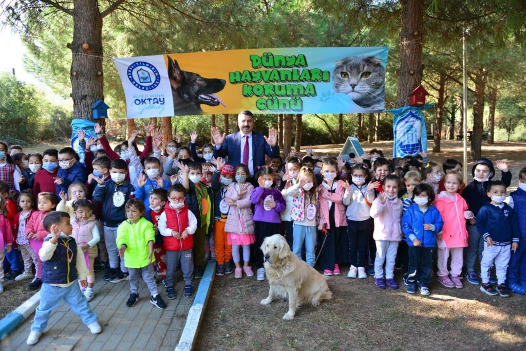 Sokak hayvanları emin ellerde