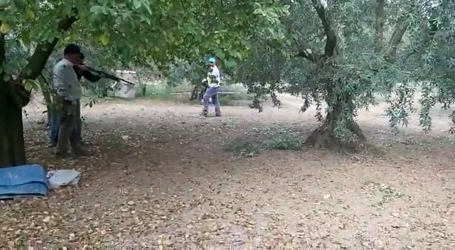 Zeytin toplarken yılan saldırdı