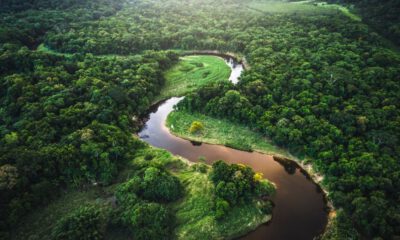 Amazon ormanları, en kötü günlerini yaşıyor