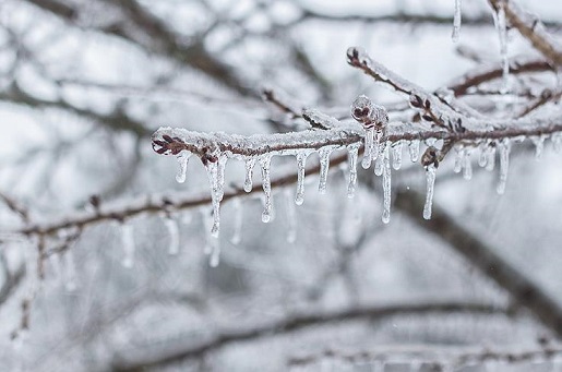Bursalılara don uyarısı