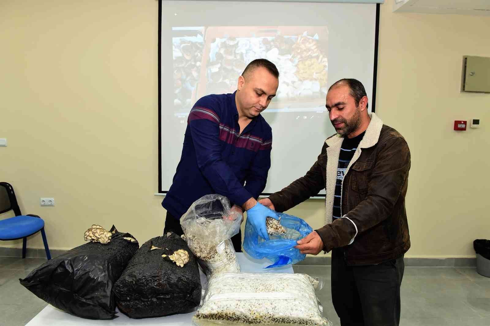 Girişimci adaylarına mantarcılık kursu