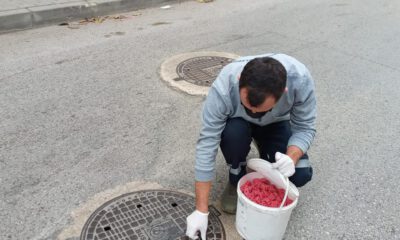 Haşerelere karşı mücadele
