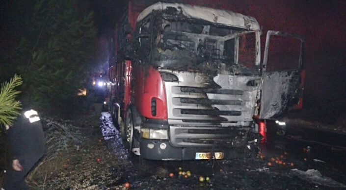 Kamyon seyir halindeyken yandı