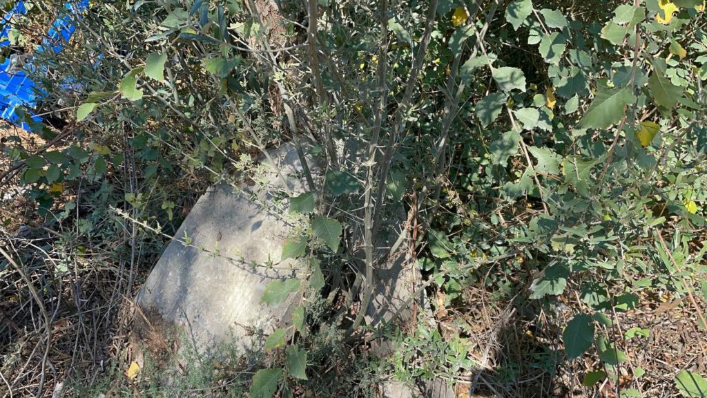 Karton toplayıcısı, Osmanlı eserleri buldu