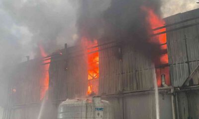 Kocaeli’nde büyük fabrika yangını