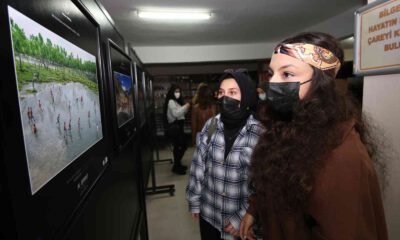 Ödüllü fotoğraflar sergilenmeye başladı