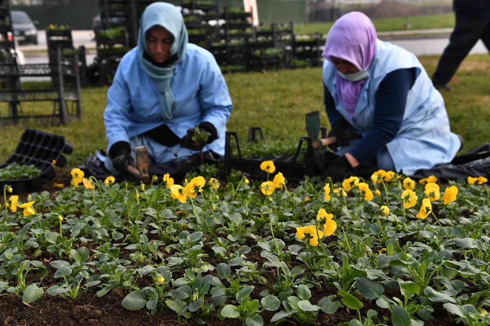 Osmangazi çiçek açtı