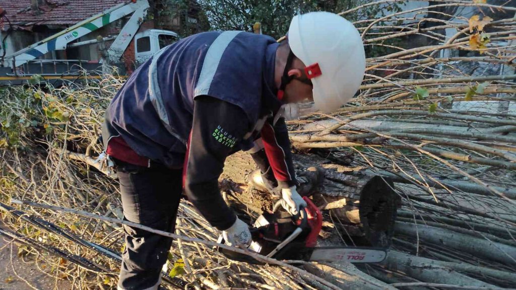 Şiddetli lodos enerji hatlarını tahrip etti