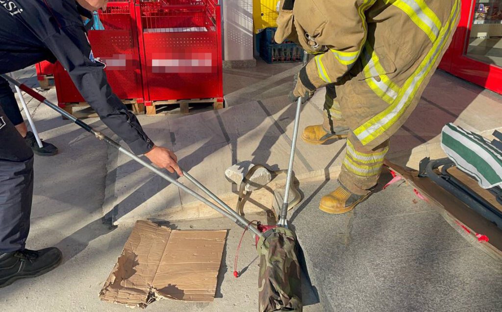 Süpermarkette yılan şoku