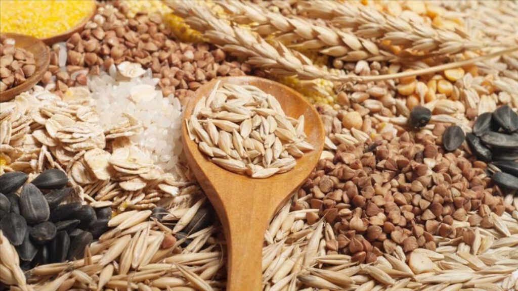 Tarım ihracatında rekor