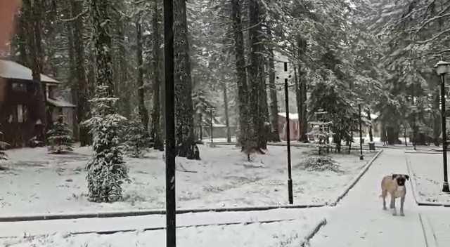 Uludağ beyaza büründü
