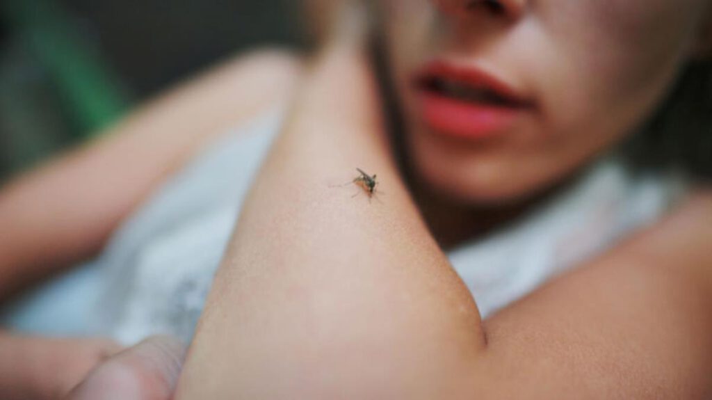 Zika virüsü, her geçen gün yayılıyor