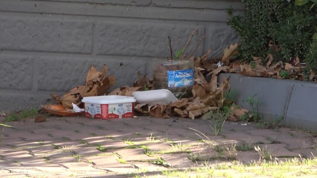 Sokak kedilerini böyle zehirlediler