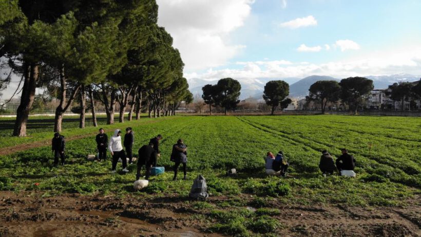 Derslerini tarlada yapıp üstüne para kazanıyorlar