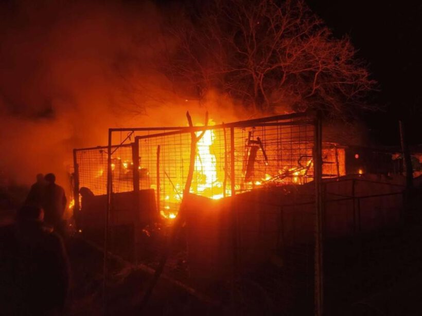 Çiftlik yandı, 160 küçükbaş son anda kurtarıldı