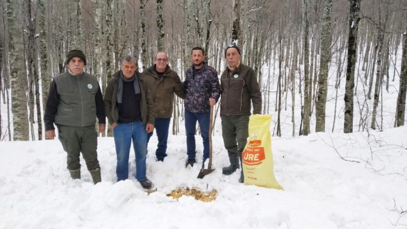 Avcılar yabanî hayvanlar için ormana yem bıraktı