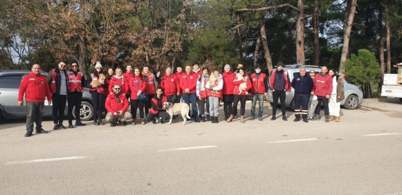 Fabrika atıkları can dostlarına yuva oluyor