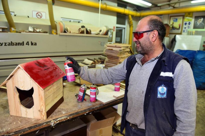 Çelenkler kediler için yuva oldu