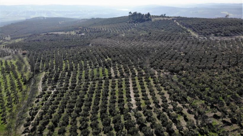 En güvenilir yatırım toprak