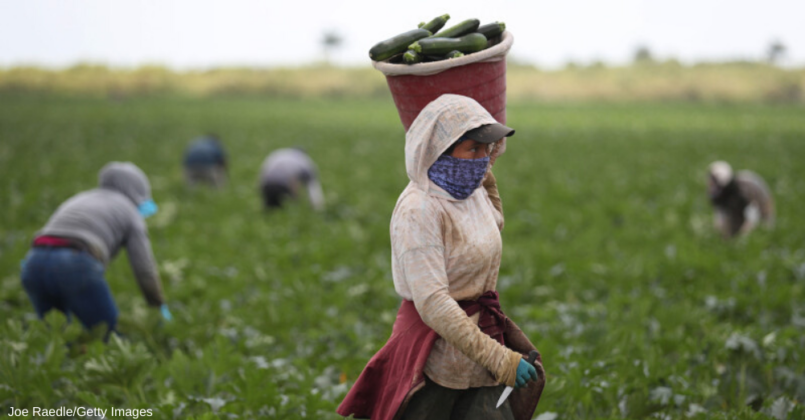 Çiftçiye 2,7 milyarlık destek bugün başladı!
