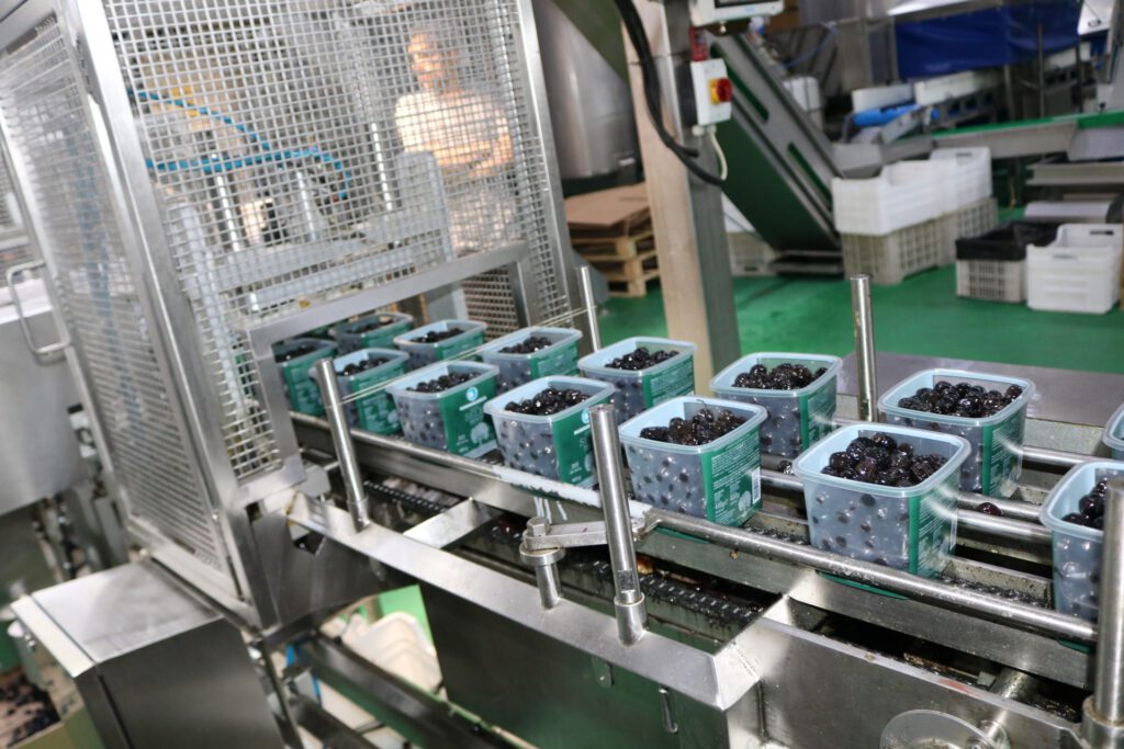 Marmarabirlik’ten üreticiye 42 milyon TL’lik destek