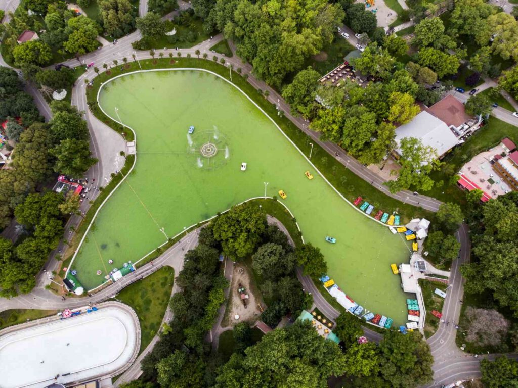 Kültür Park dönüşümüne genç bakış