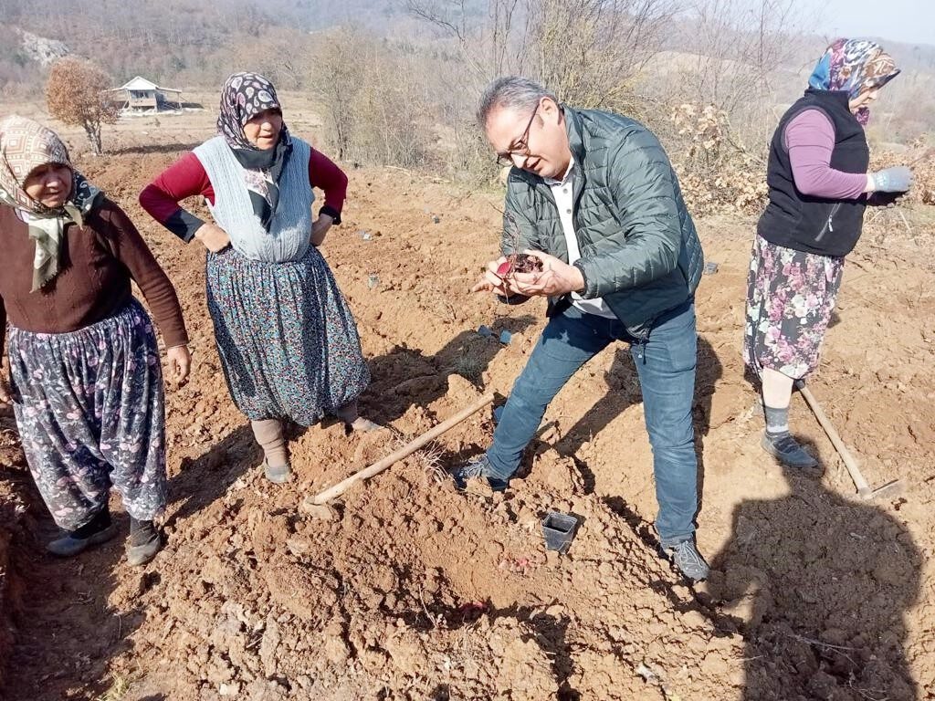 Mavi yemişe 145 bin liralık hibe