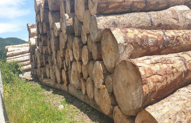 Mesaha hizmeti alınacak