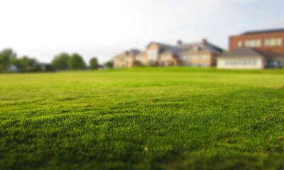 Osmangazi’de satılık 16.409 m² tarla