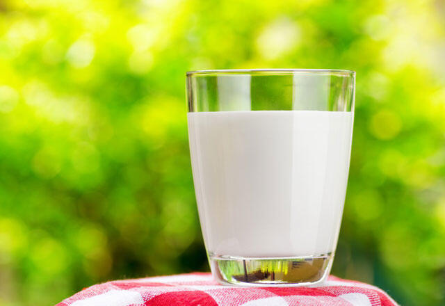 Süt ve süt ürünleri satın alınacak